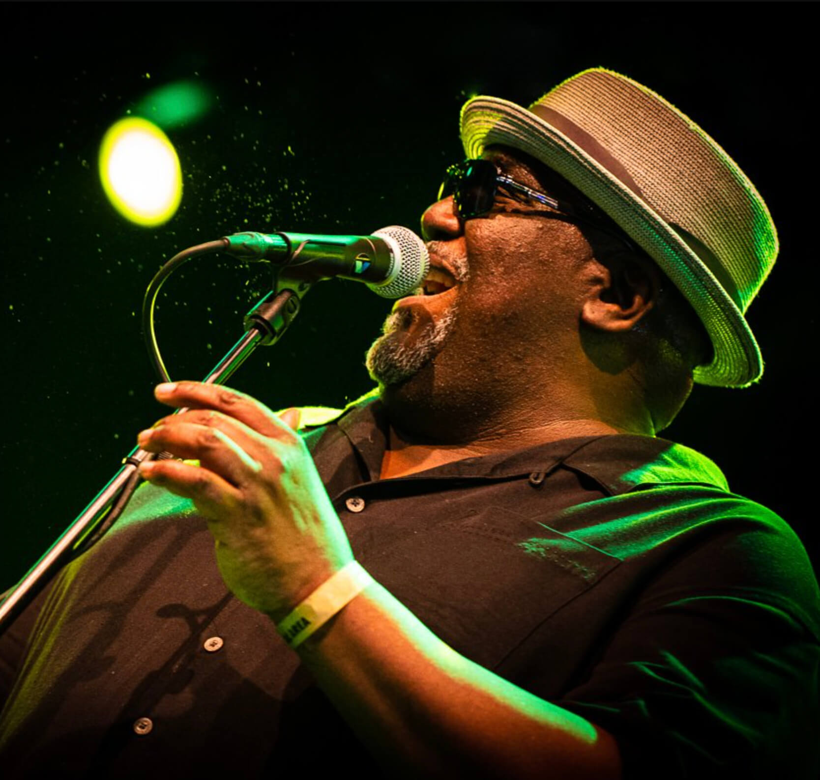 Read more about the article Altered Five Blues Band